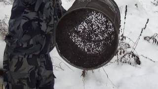 Мастер - класс по обработке семей от клеща в термокамере. (Нолинск 2017г)