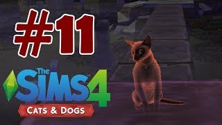 Hayalet Kediler | The Sims 4 Cats & Dogs #11