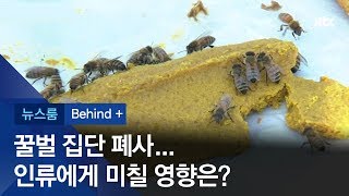 [비하인드+] "꿀벌이 사라지면 인류도 4년 내 멸망한다"? / JTBC 뉴스룸