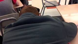 Big Red Ginger Gets Spanked In School