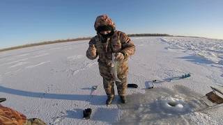 Зимняя рыбалка в Астрахани на судака 20180128