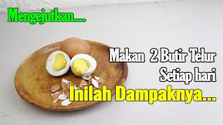 DOKTERPUN BELUM TENTU TAHU... MAKAN 2 BUTIR TELUR SETIAP HARI, INILAH DAMPAKNYA