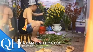 Cùng ca sĩ Quang Hà cắm hoa ngày Tết ... Các bạn đã chuẩn bị Tết đến đâu rồi .