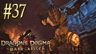 Dragon`s Dogma: Dark Arisen™ ► Гигант ► Прохождение #37