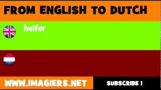 NEDERLANDS = ENGELS = vaars