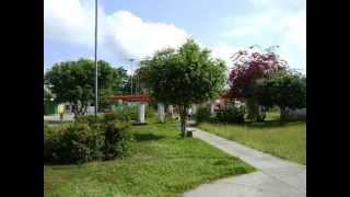 CIDADE NATAL OEIRAS DO PARÁ