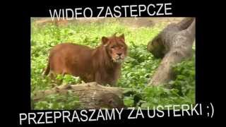 DJ Farad - Mała figlara (audio)