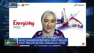 Inisiatif PLN & Pertamina Kejar Target Bauran Energi Terbarukan