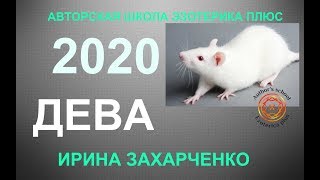 ♍ДЕВА. Гороскоп на 2020 год. Прогноз на 12 домов гороскопа. ТАРО-ПРОГНОЗ.