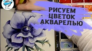 Как Нарисовать Цветок Акварелью | Уроки рисования акварелью от Ирины Сарт