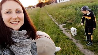 VLOG  Запретили снимать / Осталась на годовщину одна / Мальтезе Джек показывает трюки