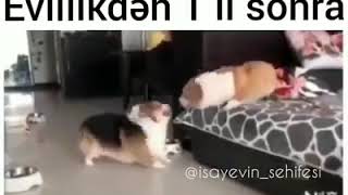 ВЗРОСЛЫЕ ПРИКОЛЫ 2019 ЯНВАРЬ прикол ржу не могу новые приколы для взрослых приколись
