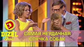 Как заработать на спаривании собак – самая неудачная случка | Дизель шоу  новый выпуск
