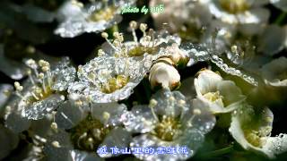 遇上你是我的缘 cover：yuanyuan 88