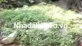 Bán đất Nguyễn Khoái, Hoàng Mai