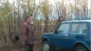 Охота на Омминских полях 2 октября 2012 г