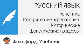 Исторические чередования. Исторические фонетические процессы. Центр онлайн-обучения «Фоксфорд»