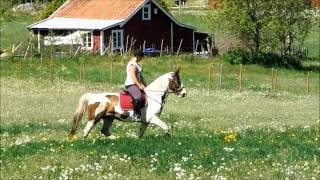 idijana provridning