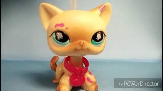 LPS: MK: ВЕНОК ИЗ БАРХАТНОГО ПЛАСТИКА!