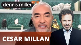 Cesar Millan explains why it's important to train the human before training the dog