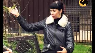 Животные в саду. Ландшафтные хитрости серия 60