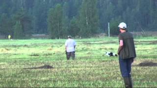 431. (24) Марго и Чих-Пых.