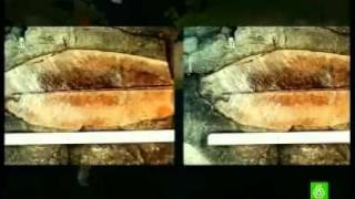 Tectonica de placas 2