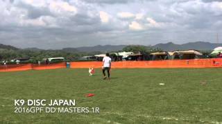 K9DJ 2016GPF DD MASTERS 1R