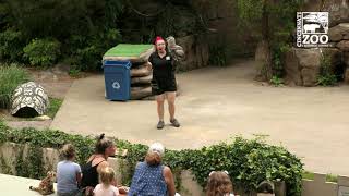 Ameritas Wings of Wonder Bird 2021 - Cincinnati Zoo