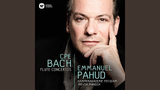 Flute Concerto in D Minor, Wq 22, H. 425: III. Allegro di molto
