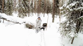 НАШЁЛ ДВА БАЛАГАНА. НАХОДКА В ЛЕСУ