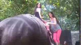 Elephant Ride in Kerala, India - Jul 2012