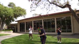 5-C Cops