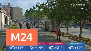 Похолодание придет в столичный регион 25 мая - Москва 24