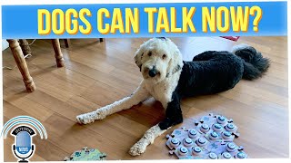 People Are So Bored They're Teaching Their Dogs to Talk