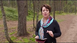 727. Хлеб на каждый день. Сила взаимопомощи.