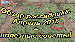 Обзор рассадника + полезные советы!