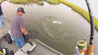 GoPro Inshore Saltwater Fishing "Marsh Madness"
