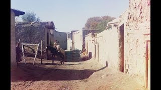Шерали Жўраев - Аччиқ ҳақиқат