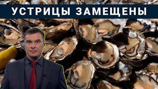 Россия на 100% обеспечила себя устрицами / Падает теневая занятость / В Крыму снова добудут железо