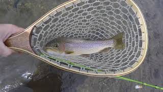 2017 07 Montana - Slough Creek