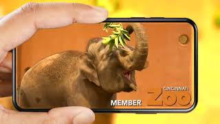 Zoo Membership March 2024