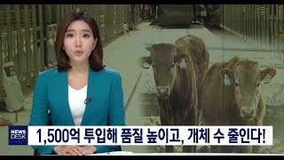 1,500억 투입해 품질 높이고, 개체수 줄인다!-이규설[포항MBC뉴스]