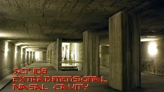 Agent Zero's SCP Audio Files - SCP-108 (Extradimensional Nasal Cavity)