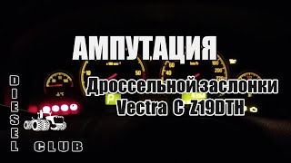 Дроссельная заслонка Z19DTH. Опель вектра ц.