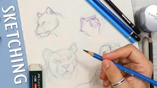Drawing Big Cats WITHOUT REFERENCE