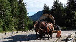 Góralu czy Ci nie żal ─═◕◕◕═─ Krzysztof Krawczyk
