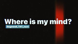 Dogewell & TNT_next Studio - Where Is My Mind?