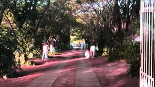Clínica de Terapia Holística - Reiki - Caminhada
