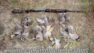 Охота на КЕКЛИК "КЫРГЫЗСТАН"Озгондо
